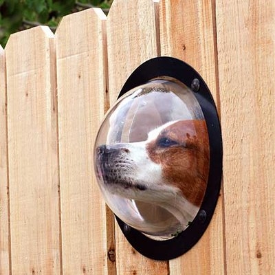 Pet peek fence insert