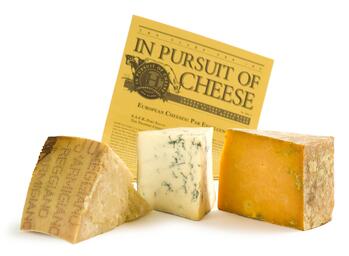 cheese of the mont
