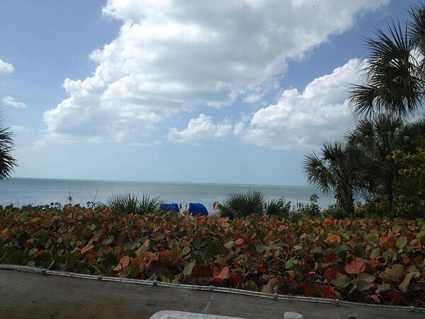 The beach at Naples, FL