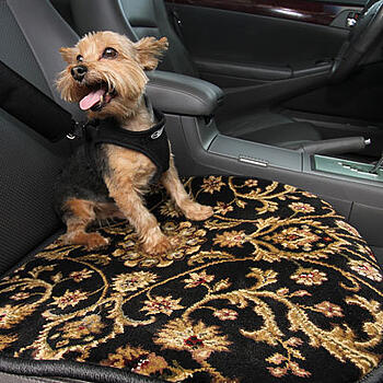 car pet mat