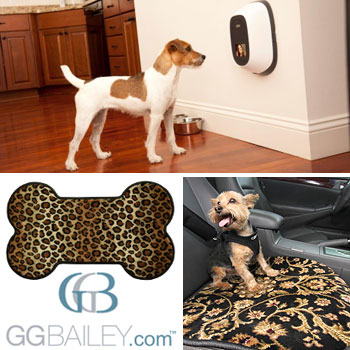 Pet Placemats PetChatz