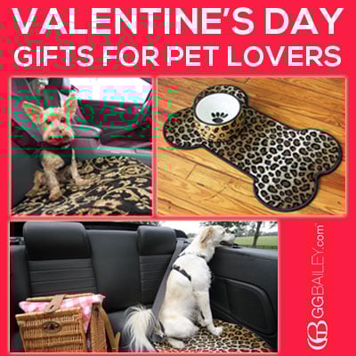 Valentine%27s Day Pet Gifts