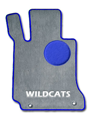 Kentucky Wildcats