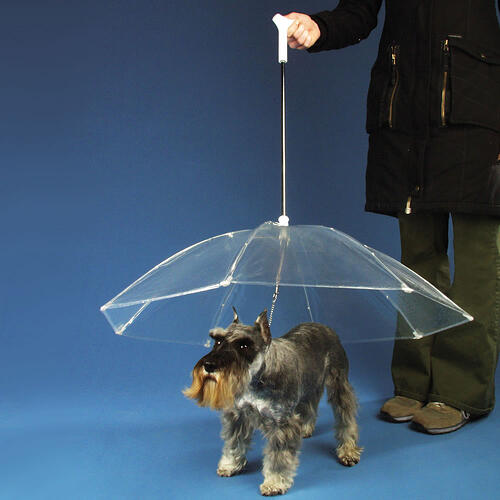 Dog Umbrella