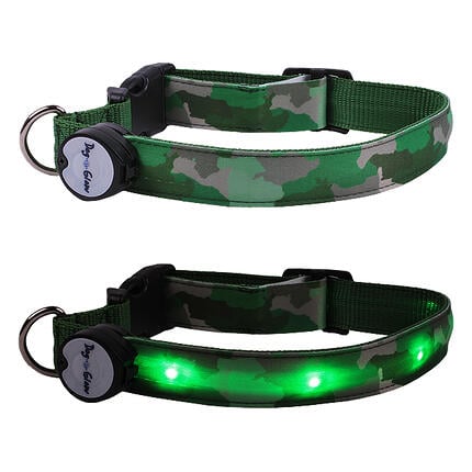 Glowing Dog Collar with LED
