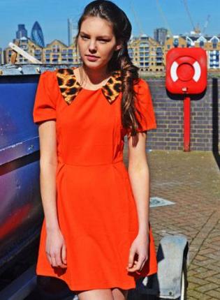 Orange Dress with Leopard Collar