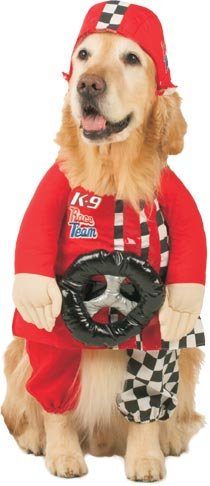 Racecar Driver pet Halloween costume on golden retriever