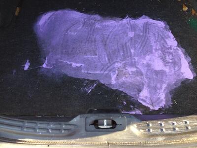 Latex Paint Spilled in Trunk
