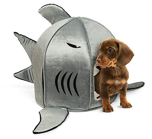 Shark Pet Bed