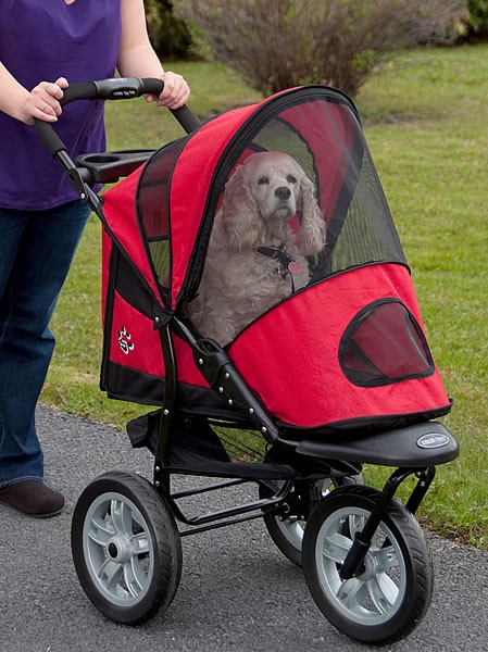 Pet Stroller