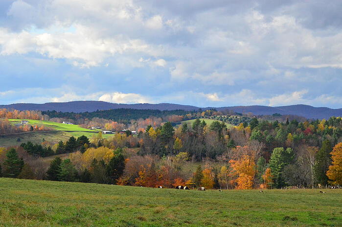 Beautiful Fall Foliage in the hills of Vermont during Autumn