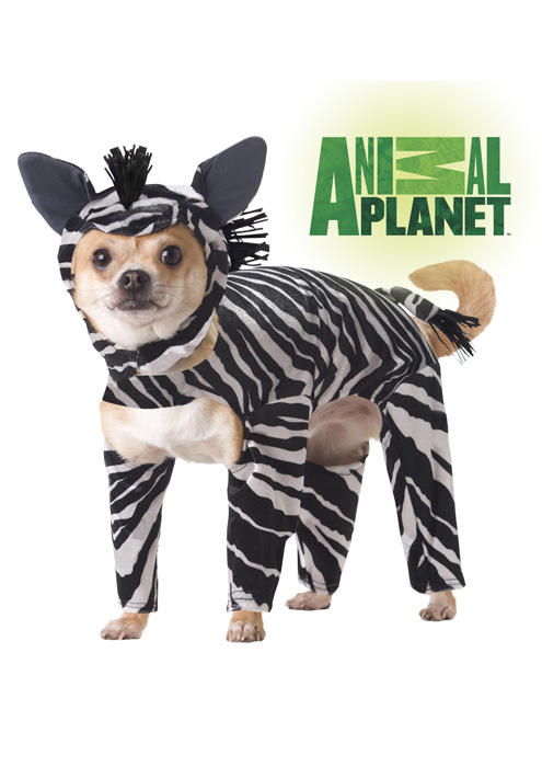 Animal Planet Zebra pet costume